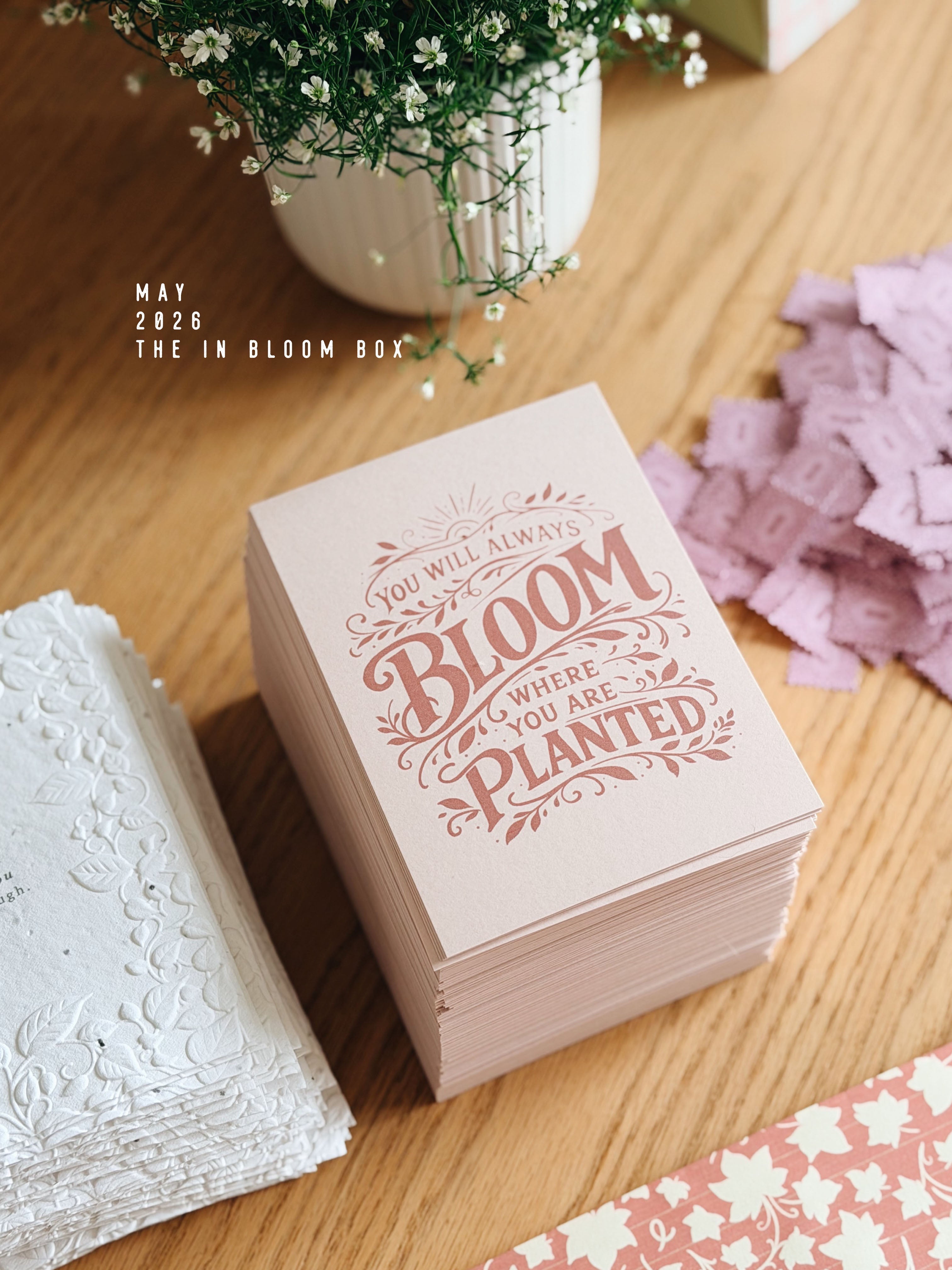 The In Bloom Box