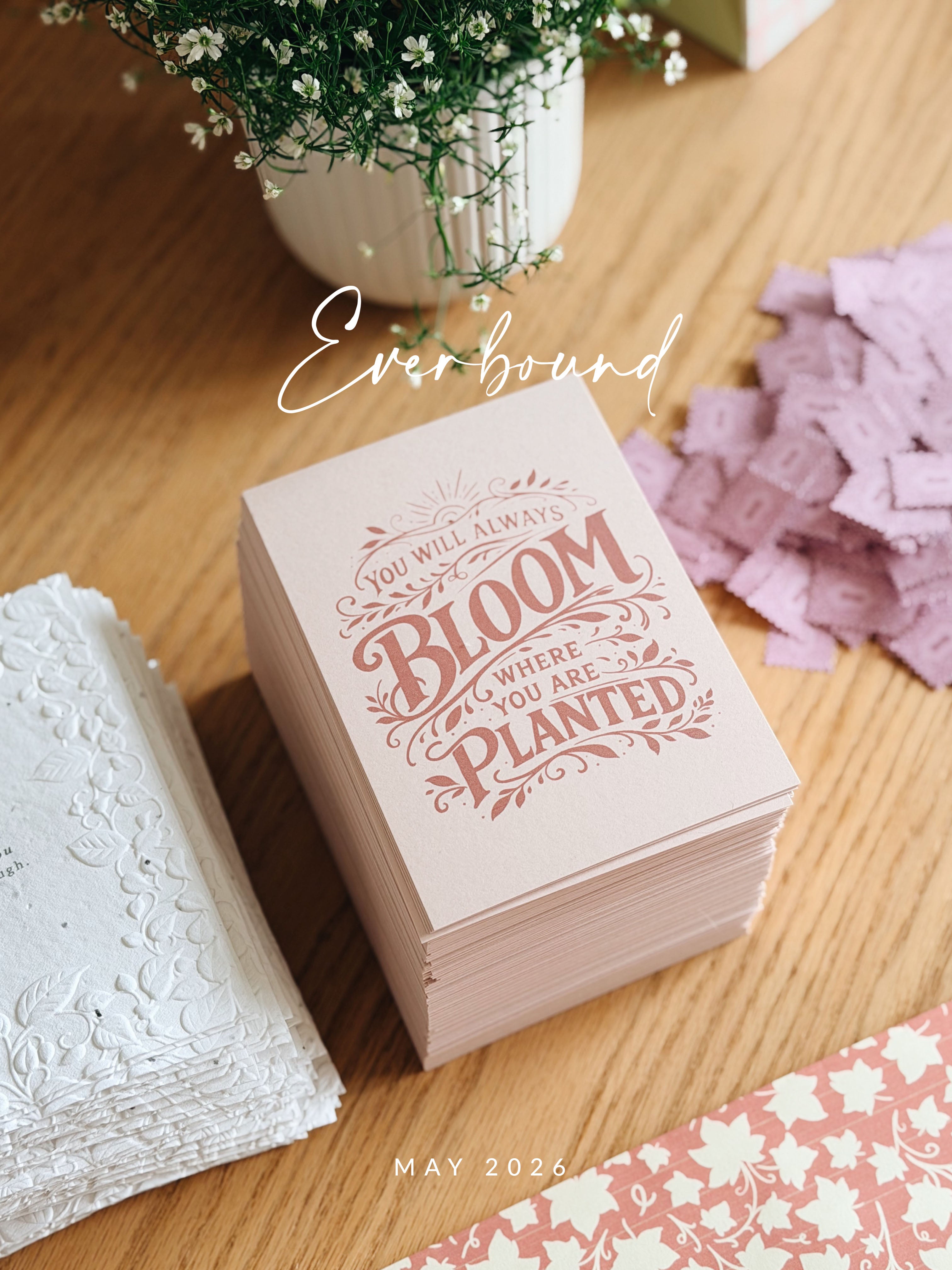 The Bloom Box | May 2026